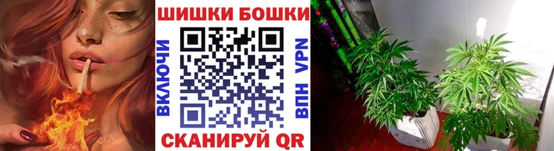 Бутират Шуя