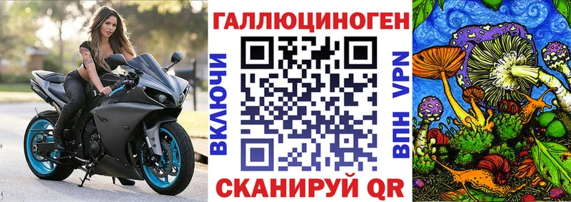 Псилоцибиновые грибы Cubensis  Купить где  Шуя 